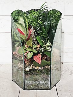 Into The Looking Glass