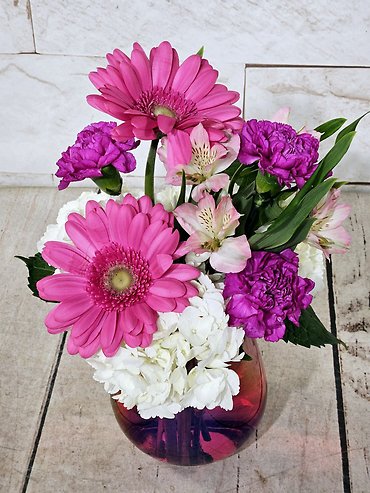 Petite Pink Ombre
