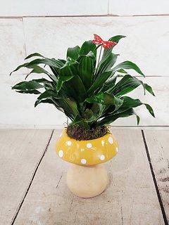 Whimsical Mushroom Planter