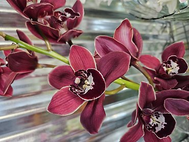 Orchid Vase