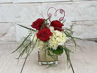 Apple of My Eye Gift Set