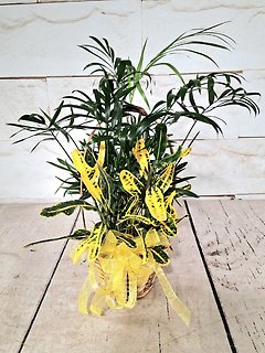 Mini Planter