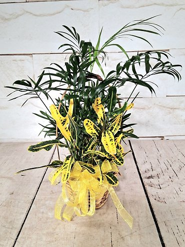 Mini Planter