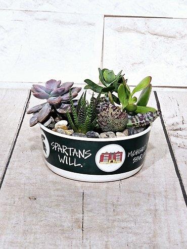 MSU Succulent Garden