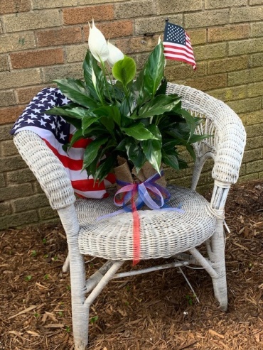 Patriotic Peace Lily