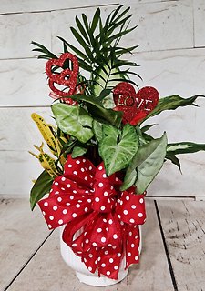 Hearts Planter