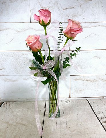 Coquette Roses