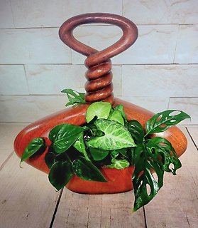 Stylized Unity Planter