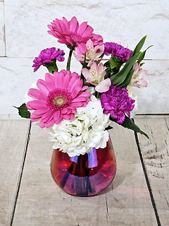 Petite Pink Ombre