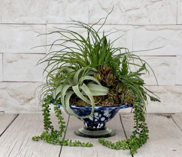 Round Faux Succulent Planter