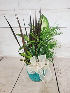 Mini Ceramic Planter