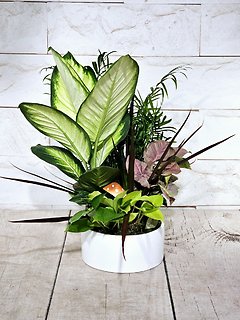 Mushroom Planter