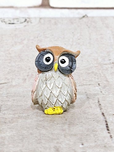 Wise Owl Pocket Charm