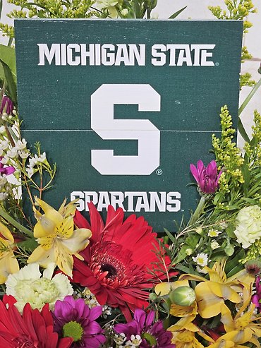 MSU Wooden Sign