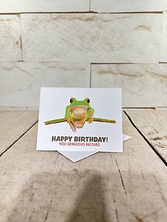 Frog Birthday Card