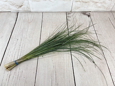Bear Grass