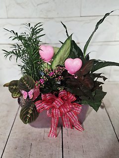 Pink Blooming Planter