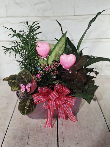 Pink Blooming Planter