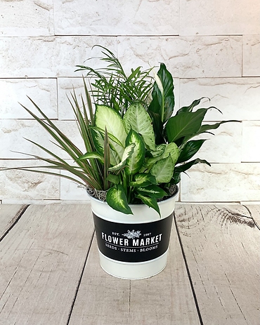 Flower Market Garden Planter