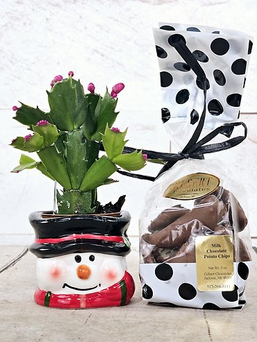 Christmas Cactus Gift Set