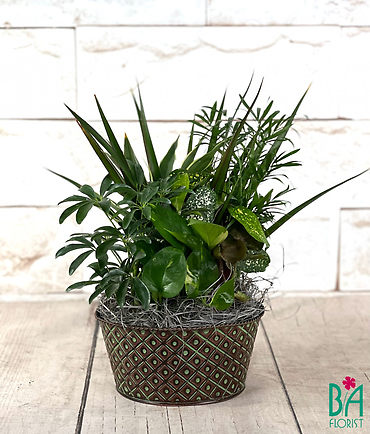 Green and Brown Planter