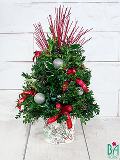 Large Boxwood Christmas Tree