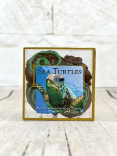 4-Piece Sea Salt Turtles