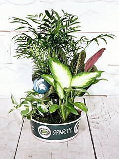 Spartan Planter