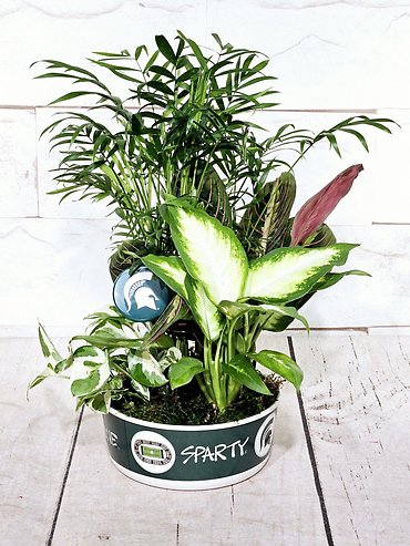 Spartan Planter