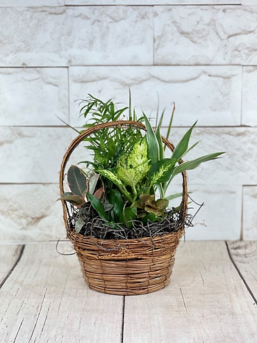 Bird\'s Nest Planter