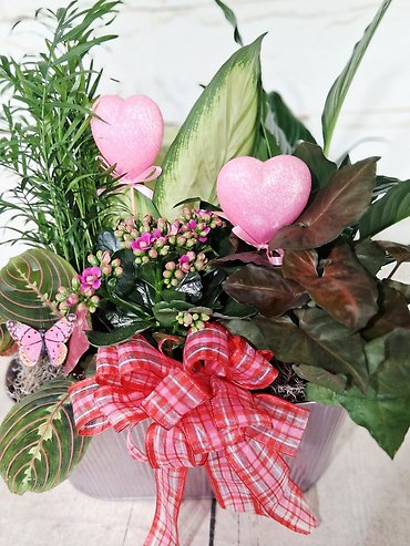 Pink Blooming Planter