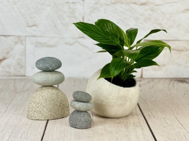 Round Stone Peace Lily