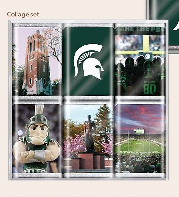 MSU College Chocolate
