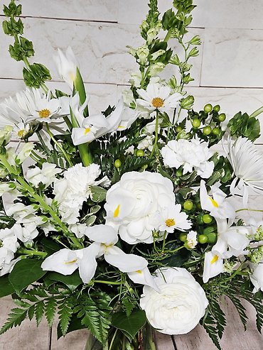 Go White