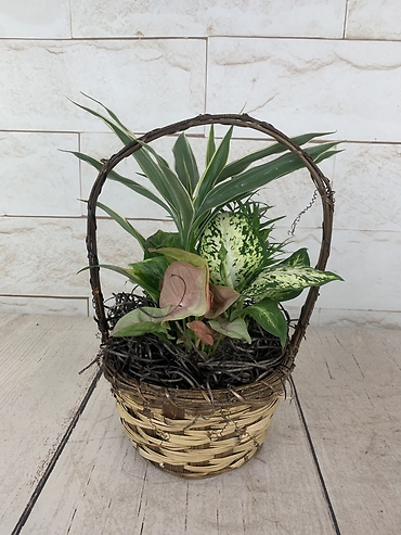 Small Basket Planter