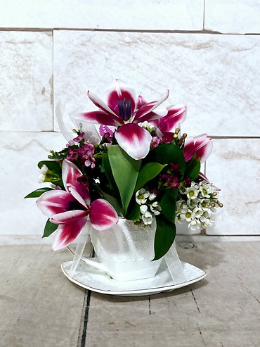 Tulip Tea Time