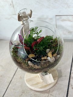 World of Greens