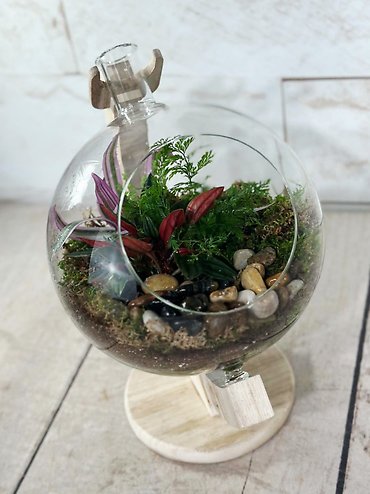 World of Greens