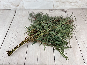 Willow Eucalyptus