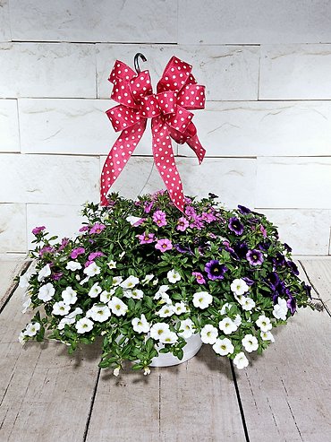 Petunia Hanging Basket