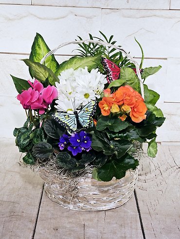 Blooming Basket
