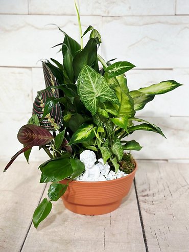 Heavenly Planter