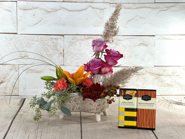 Splash Of Color Gift Set