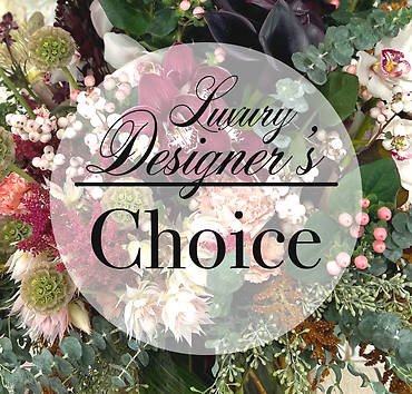 Luxury Designer\'s Choice