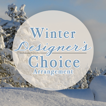 Winter Designer\'s Choice Arrangement