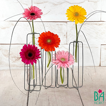 Wire Rack Gerbera (color may vary)