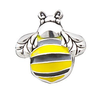 Bumble Bee Pocket Charm