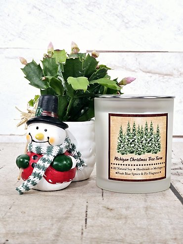 Christmas Cactus Gift Set