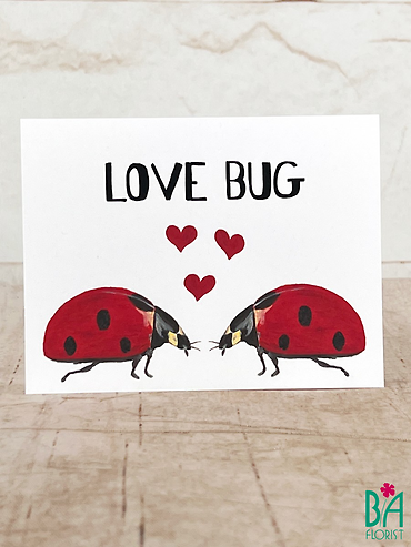 Love Bug Gift Set