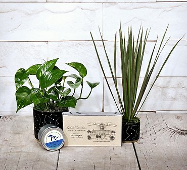 Dorm Room Bundle
